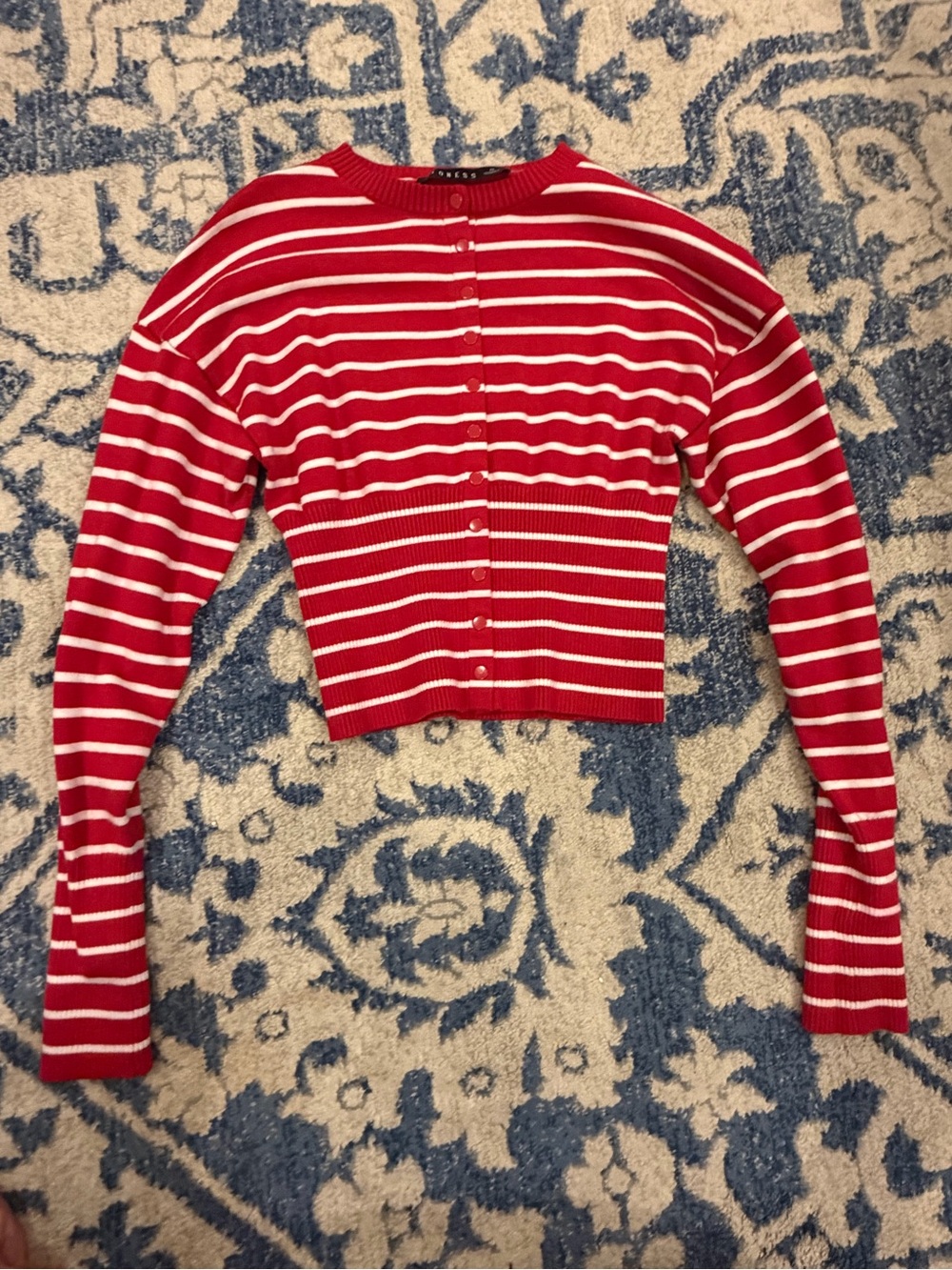 Lioness Red and White Striped Button-Down Top